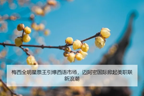 mei-xi-quan-ming-xing-piao-wang-yin-bao-xi-yu-shi-chang-mai-a-mi-guo-ji-xian-qi-mei-zhi-lian-xin-lang-chao-2-947.jpg