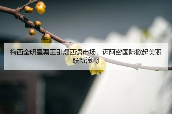 mei-xi-quan-ming-xing-piao-wang-yin-bao-xi-yu-shi-chang-mai-a-mi-guo-ji-xian-qi-mei-zhi-lian-xin-lang-chao-3-433.jpg