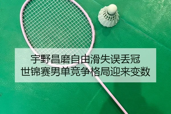 yu-ye-chang-mo-zi-you-hua-shi-wu-diu-guan-shi-jin-sai-nan-dan-jing-zheng-ge-ju-ying-lai-bian-shu-3-846.jpg