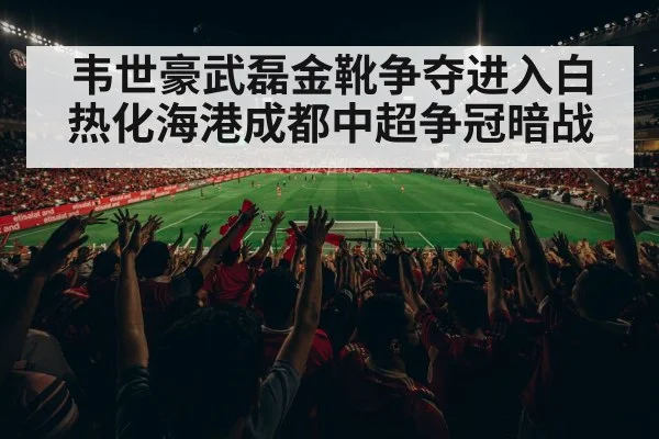 韦世豪武磊金靴争夺进入白热化海港成都中超争冠暗战