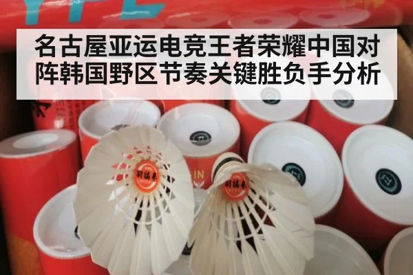 名古屋亚运电竞王者荣耀中国对阵韩国野区节奏关键胜负手分析